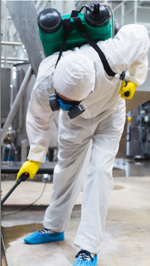 Fumigation Services Domestic Karachi